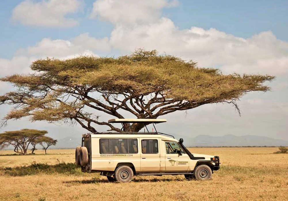 Tansania Safari Vehicle (4)